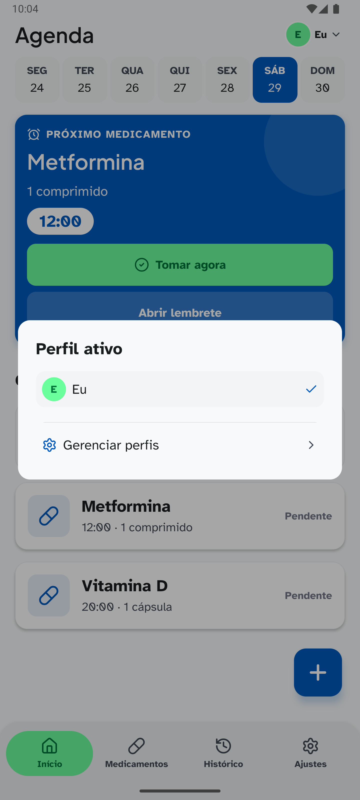 Modal real do Pingo mostrando Perfil ativo, o perfil Eu e a opção Gerenciar perfis.